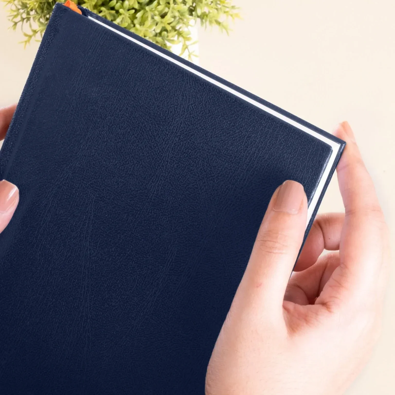 A5 - BASIC OFFICE NOTEBOOK - RULED - Image 11