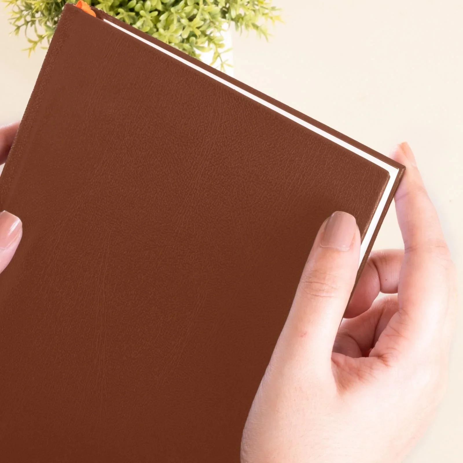 A5 - BASIC OFFICE NOTEBOOK - RULED - Image 33