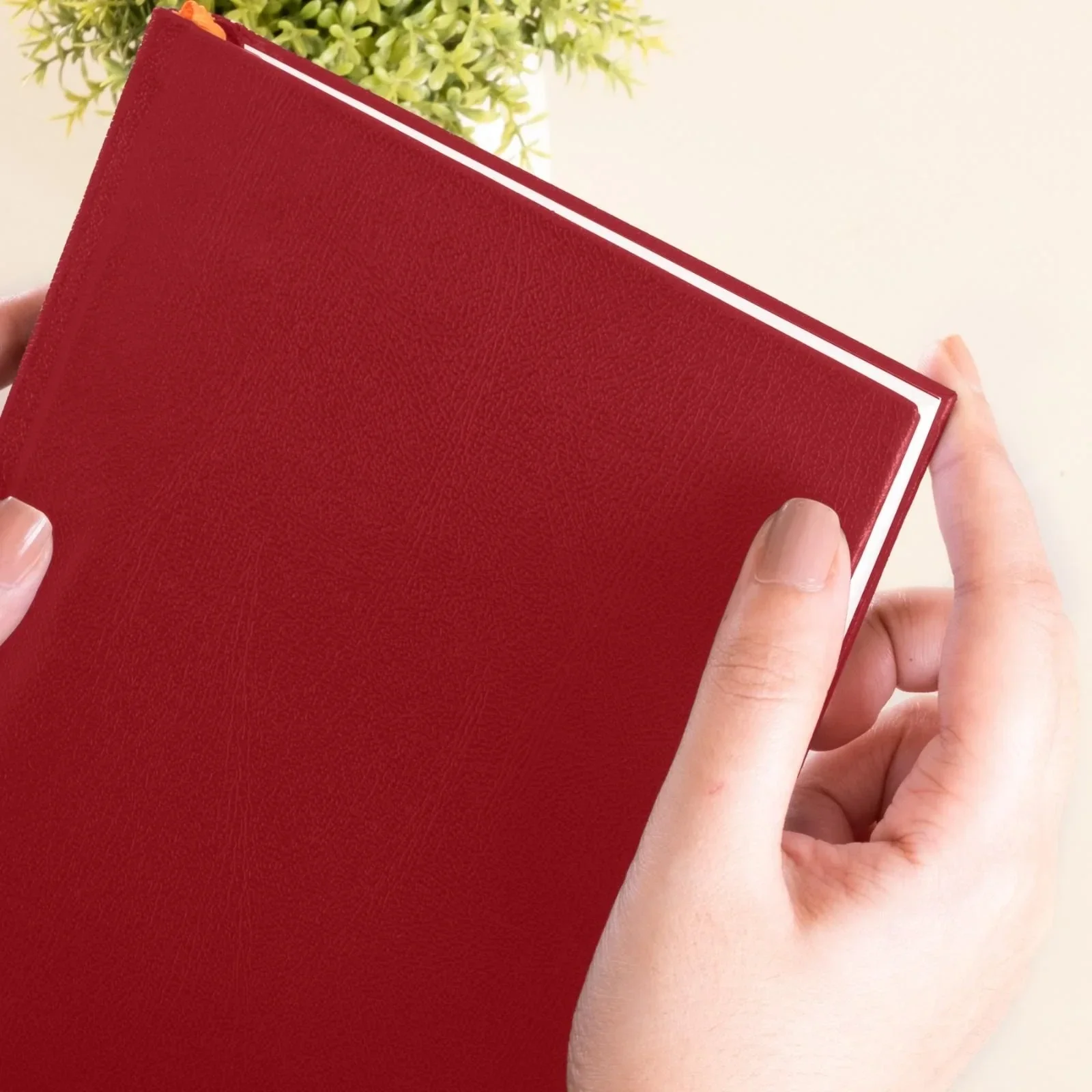 A5 - BASIC OFFICE NOTEBOOK - RULED - Image 61