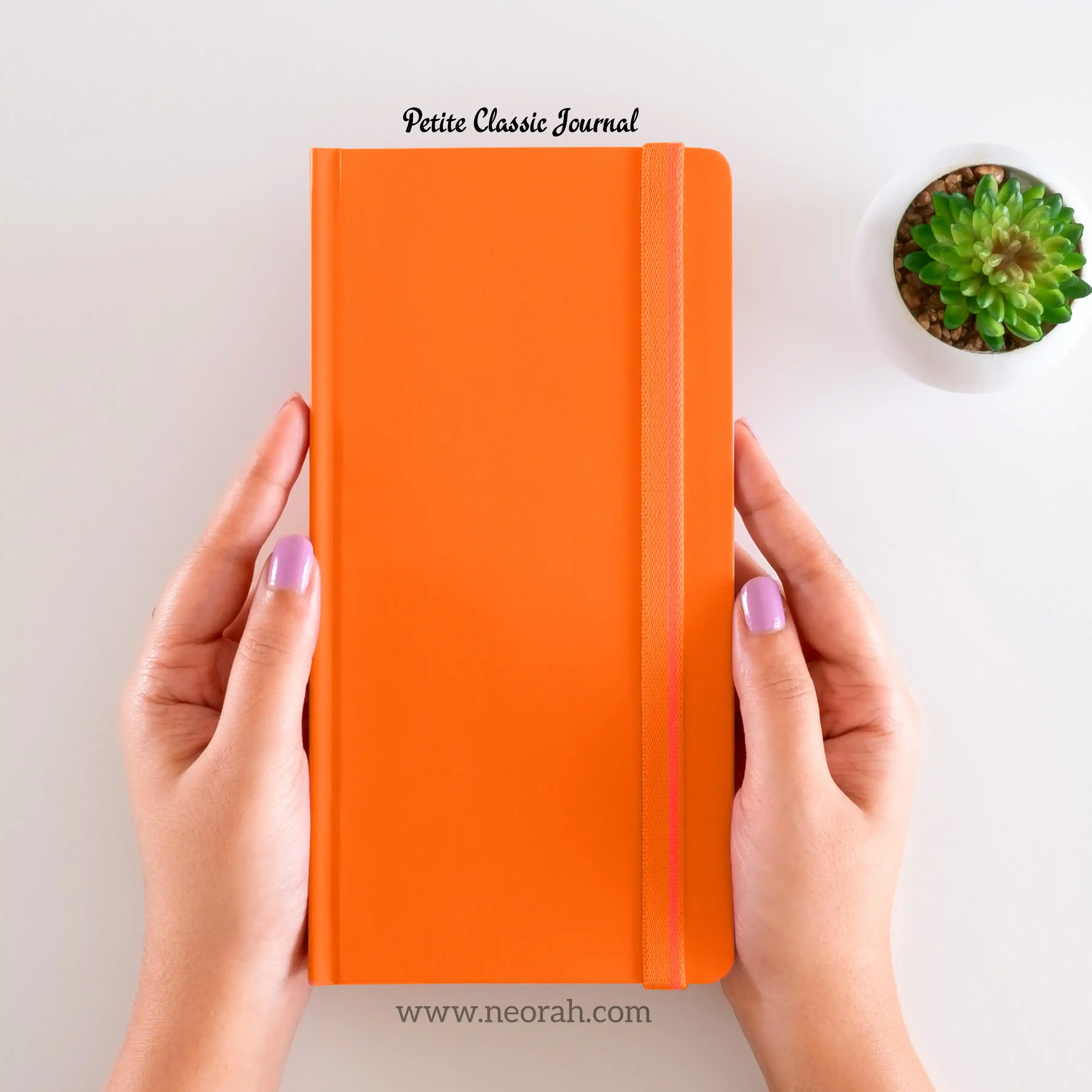 PETITE - CLASSIC JOURNAL NOTEBOOK - HARDCOVER - Image 100